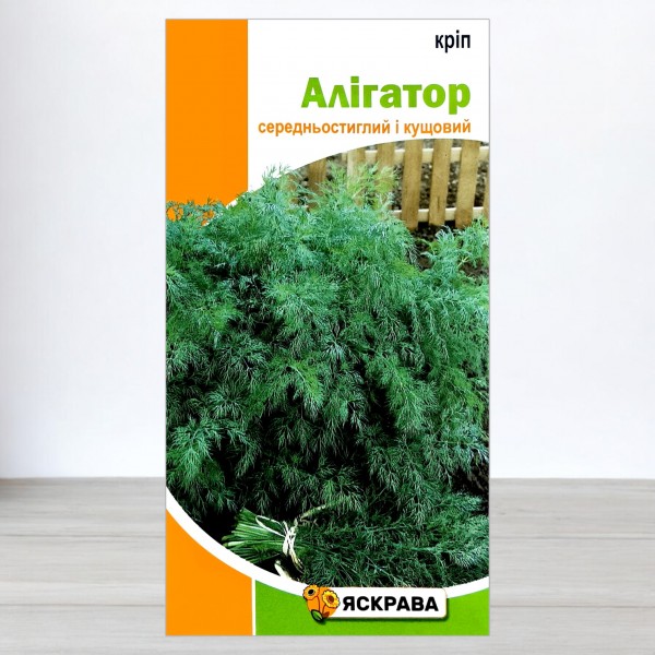 Насіння кропу кущового Алігатор, Яскрава, 5г